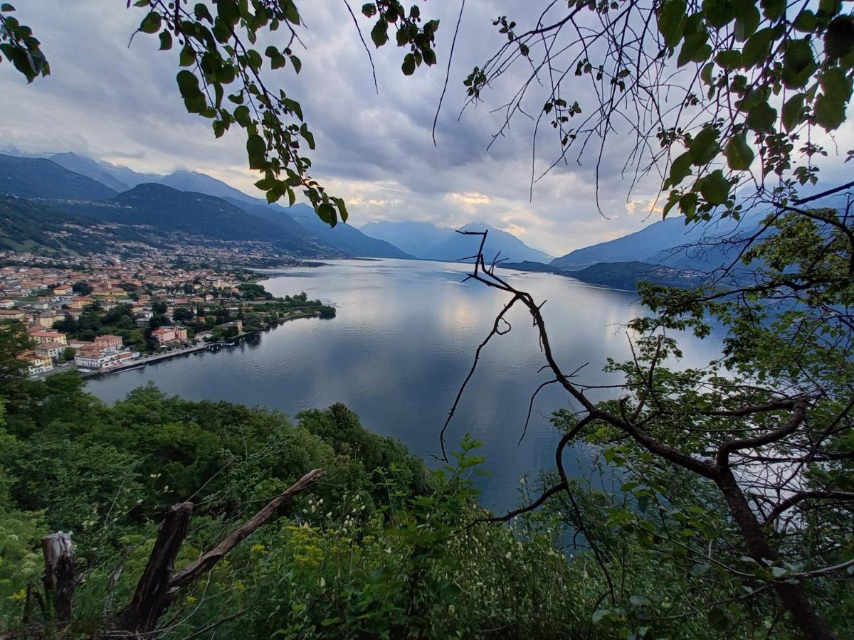 Viewtiful Homestay Stazzona Экстерьер фото