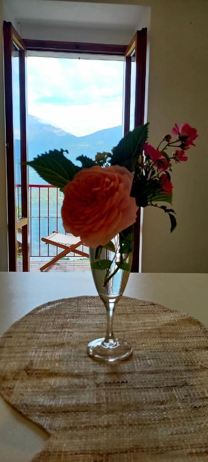 Viewtiful Homestay Stazzona Экстерьер фото